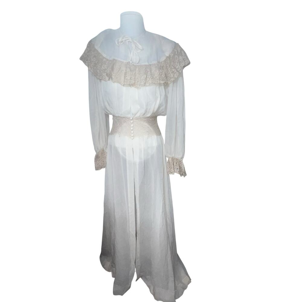 Vintage Victorian whimsy goth cream sheer lace dress corset waist dress